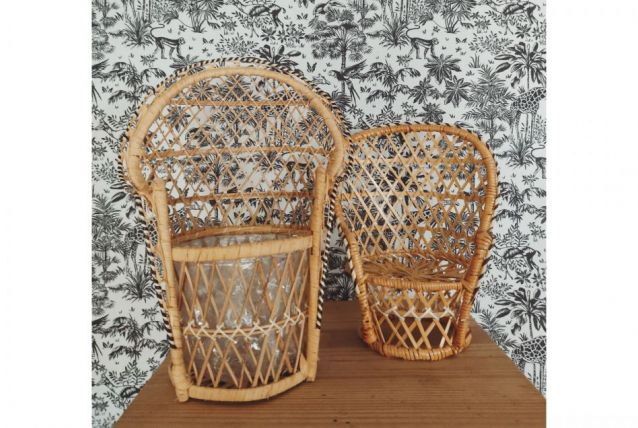 Fauteuils décoratifs en rotin 