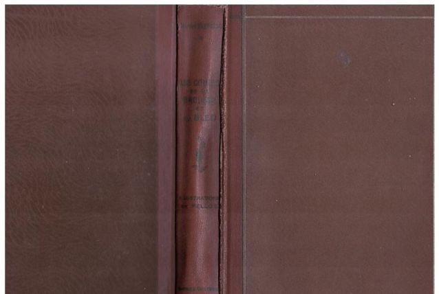 les contes de la brousse et du bled