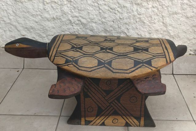 Banc tortue indien Amazonie